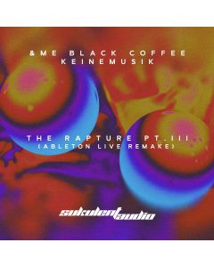 &ME, Black Coffee, Keinemusik - The Rapture Pt.III (Ableton Remake)