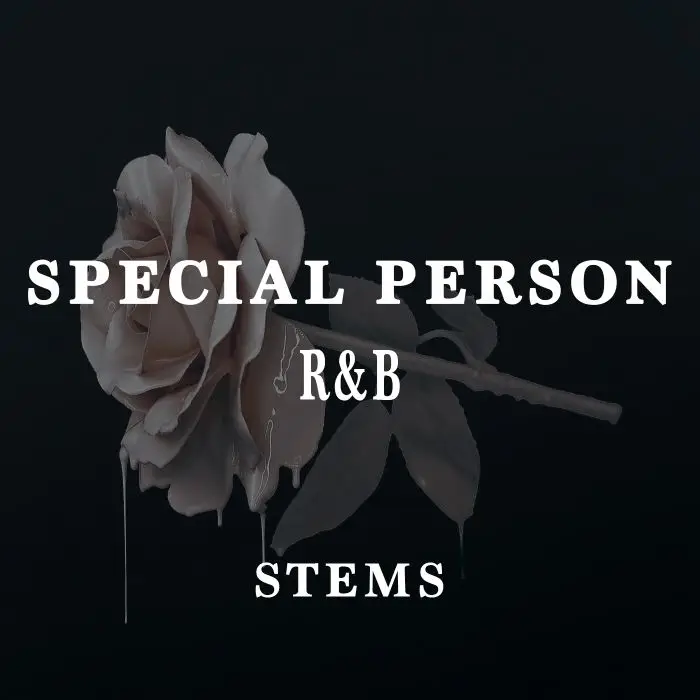 Special Person ( WAV STEMS )Audio STEMS