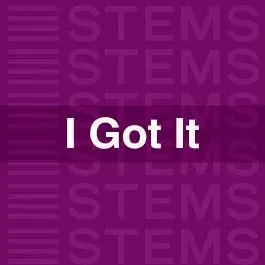 I Got It StemsAudio STEMS