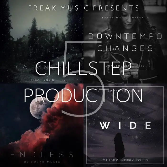 Chillstep Production 5 (Black Friday)MIDI FIles, Serum Presets