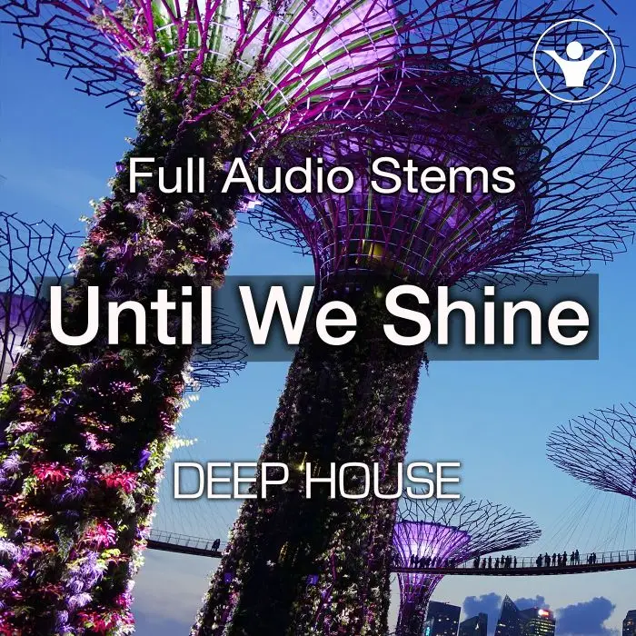 Until We ShineAudio STEMS