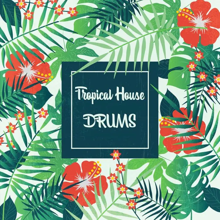 Tropical House DrumsMIDI FIles