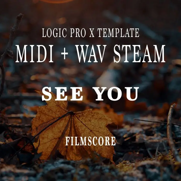 See You (Logic Pro X Template + MIDI +AUDIO)Logic Pro Templates
