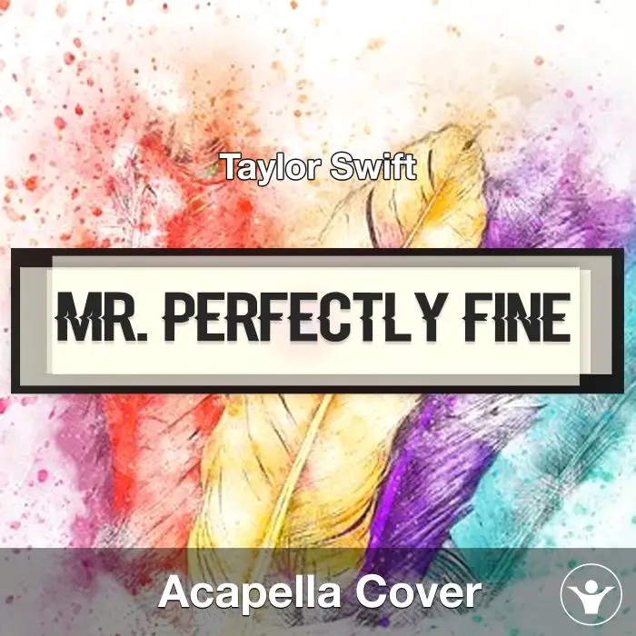 Mr. Perfectly Fine (Taylor Swift) - Acapella CoverAcapella Covers