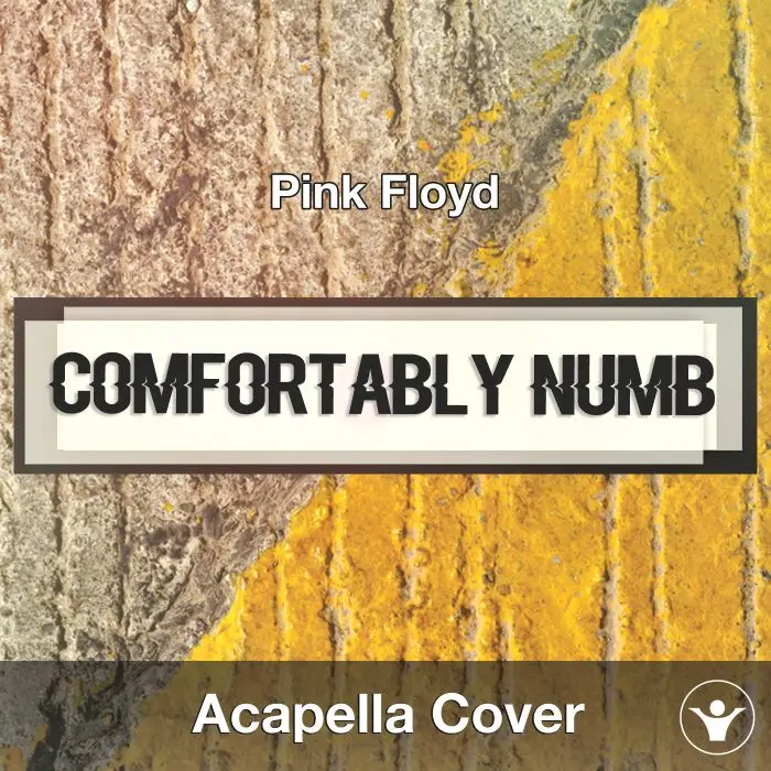 Comfortably Numb (Pink Floyd) - Acapella CoverAcapella Covers