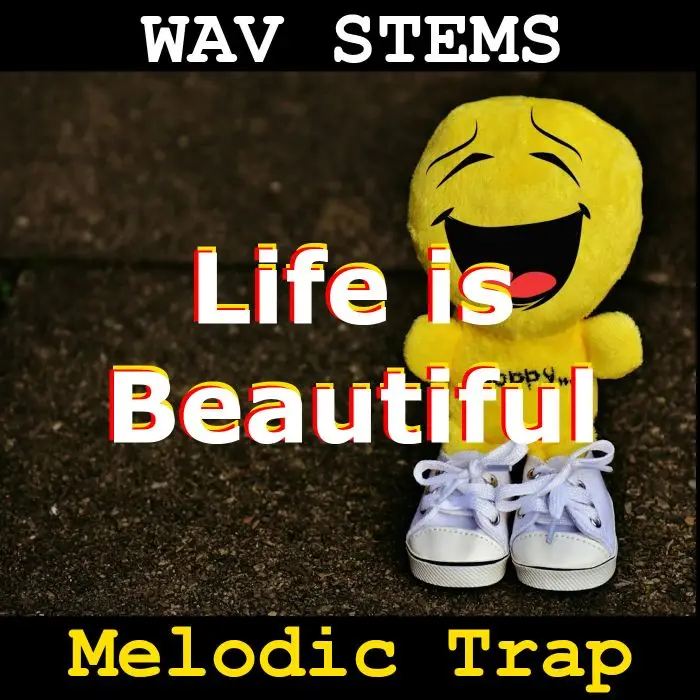 Life is Beautiful WAV StemsAudio STEMS