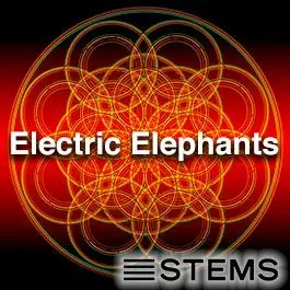 Electric Elephants STEMSAudio STEMS
