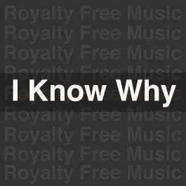 I know why (Instrumental)Stock Music