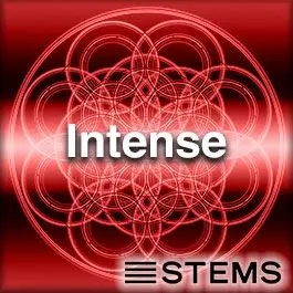 Intense - STEMSAudio STEMS
