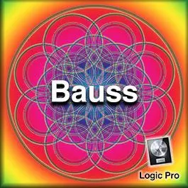 BaussLogic Pro Templates