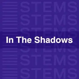 In The Shadows.Audio STEMS