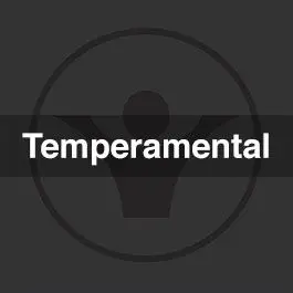 Temperamental (Original)Stock Music