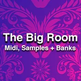 The Big Room TP SoundsMIDI FIles