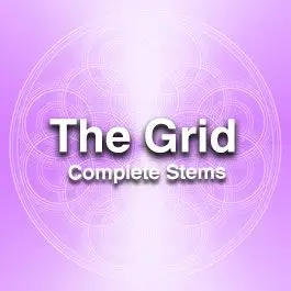 The Grid - StemsAudio STEMS