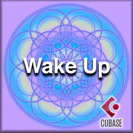 Wake Up BroStep - Exclusive Full LicenseExclusive Full Licenses