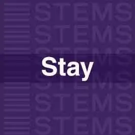STAYAudio STEMS
