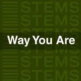 Way You Are STEMSAudio STEMS
