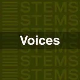 Voices StemsAudio STEMS