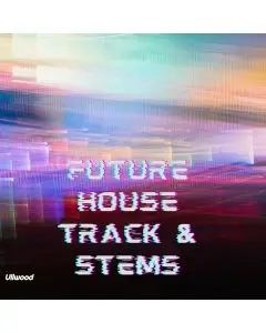 Melodic Future House Track in Style of Curbi & Garrix