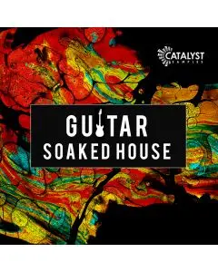 Guitar Soaked House