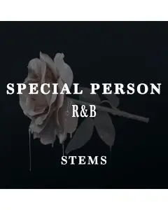 Special Person ( WAV STEMS )