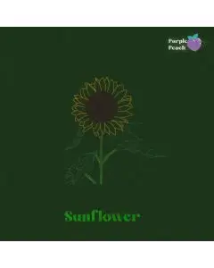 Purple Peach - Sunflower