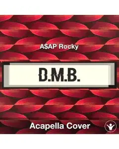 D.M.B. - A$AP Rocky - Acapella Cover