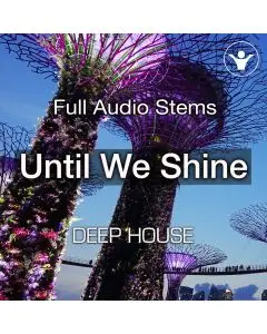 Until We Shine
