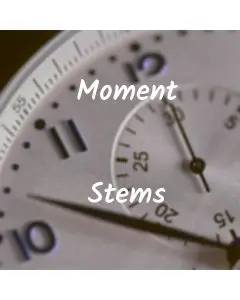 Moment (STEMS, MIDI, MASTER)