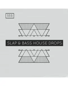 Slap & Bass House Drops