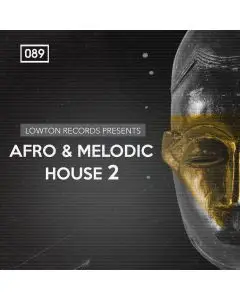 Afro and Melodic House 2 by Lowton Records