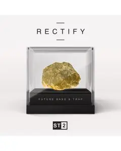 RECTIFY