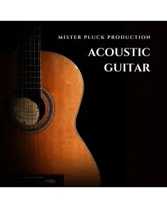 Acoustic Guitar