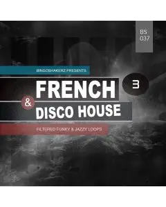 French & Disco House 3