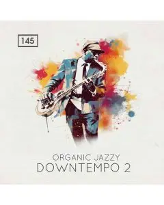 Organic Jazzy Downtempo 2
