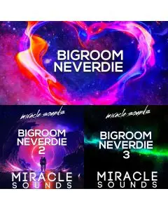 Bigroom neverdie Bundle