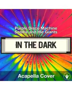In The Dark - Purple Disco Machine - Acapella Cover