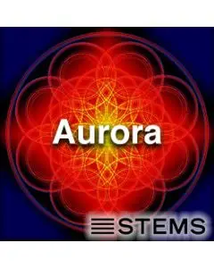  Aurora STEMS