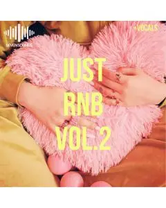 Just RnB vol.2