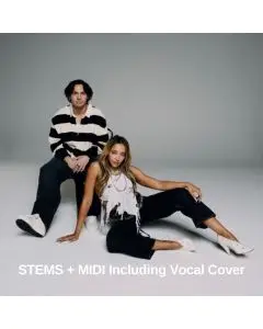 No Broke Boys Disco Lines, Tinashe Stems + Midi Cover