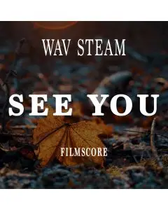 See YOU ( WAV STEMS )