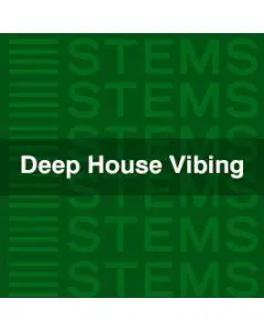 Deep House Vibing.