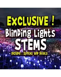 The Weeknd - Blinding Lights - Remake (STEMS)