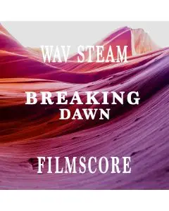 Breaking Down ( WAV STEMS )