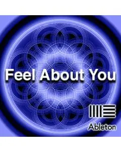 Feel about You - Exclusive Full License