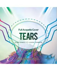 Tears (Clean Bandit ft. Louisa Johnson) - Acapella Vocal Cover