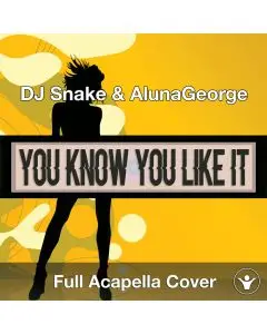 A Capella DJ Snake & AlunaGeorge - You Know You Like It