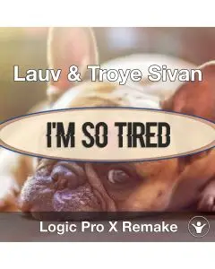 I'm So Tired (Lauv & Troye Sivan) - Logic X Remake Template