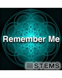 Remember Me STEMS
