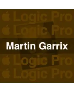 Martin Garrix Hit